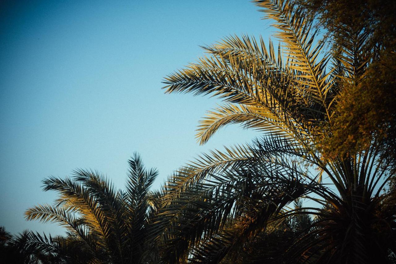 Beir El Gabal Hotel Qasr Dakhl Exterior foto